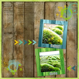 Fresh Moss