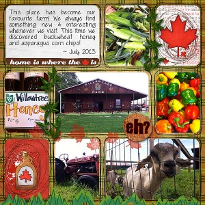 The Farm