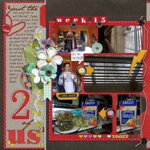 Project 2012 {week 15} page 4