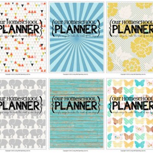 my homeschool planner