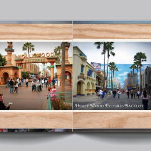Disneyland 2008 - 14