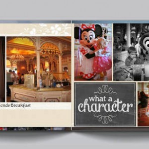 Disneyland 2008 - 8