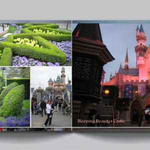Disneyland 2008 - 3