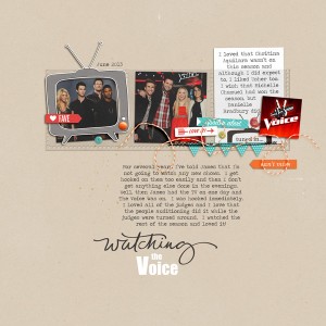 Love The Voice