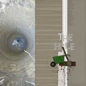 The Hole