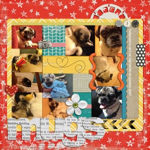 Pug Mugs 2