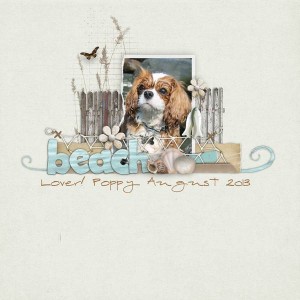 Scraplift Challenge-September