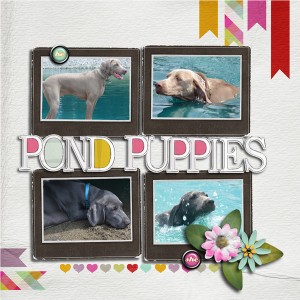 Pond Puppies
