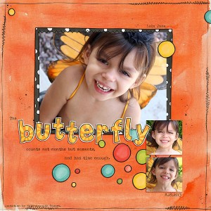 The Butterfly