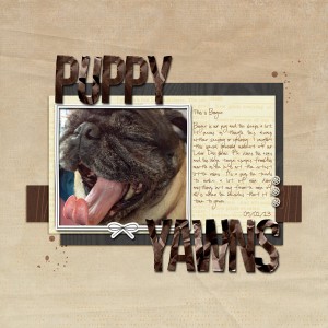 Puppy Yawns