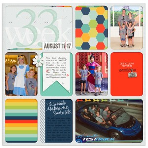 Project Life 2013 Week 33 (Left)