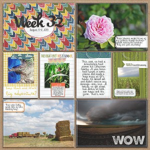 Project Life- Week 32 (left)