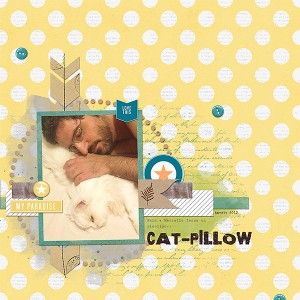 Cat-Pillow