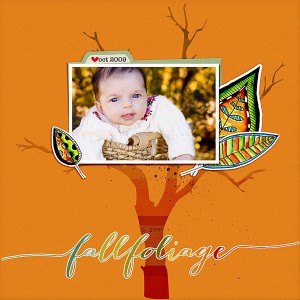 fall-foliage