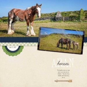 Aran Horses