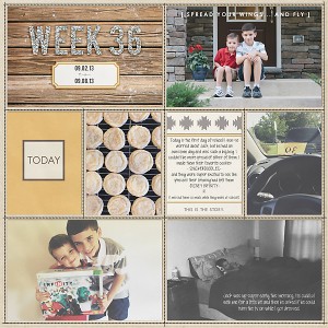 Project Life || Week 36 left