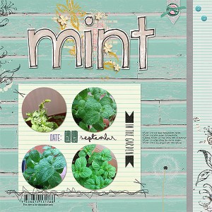 15 sept - Mint
