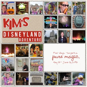 Kim's Disneyland Adventure