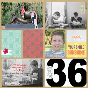 2013 week 36b