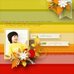 Leaf Peeper Basics