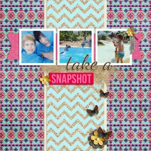 take a snapshot