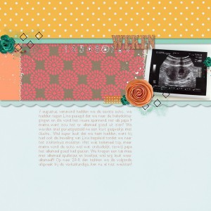 3- 1st ultrasound