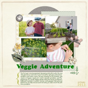 Veggies