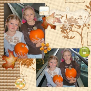 simply autumn