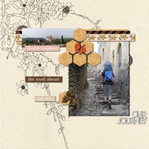 our journey