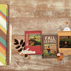 Fall Leaves