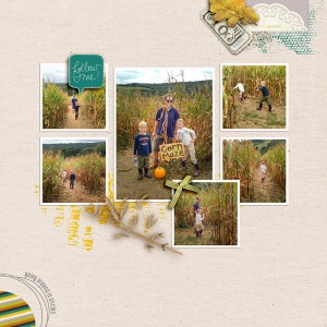 corn maze