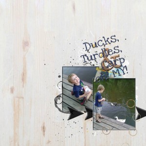 Ducks