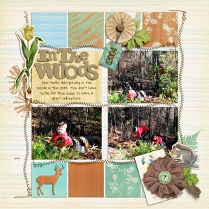 In the Woods