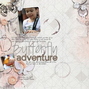 Butterfly Adventure