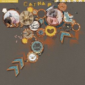 Catnap