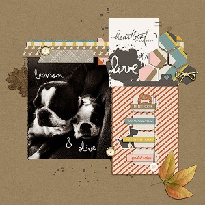 Template Challenge - Olive and Lemon