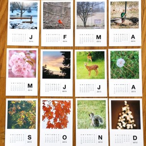 2014 desk calendar