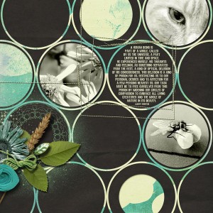 Circles of compassion
