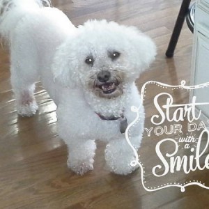 Start Day with Smile