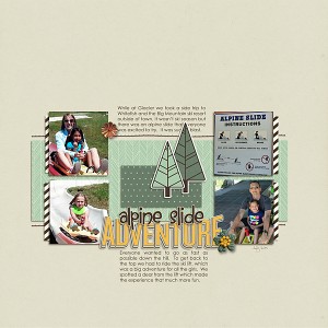 alpine slide adventure