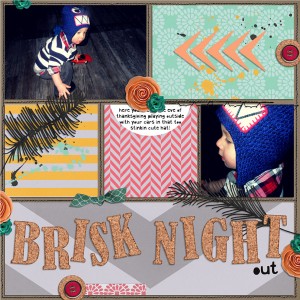 Brisk Night Out