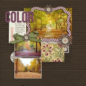 Autumn Color
