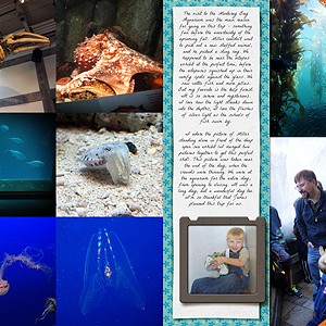 Monterey Bay Aquarium