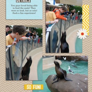 feeding seals