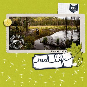 real-life3