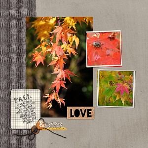 Fall Love