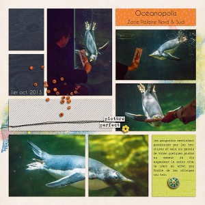 Chasing the Penguins 2
