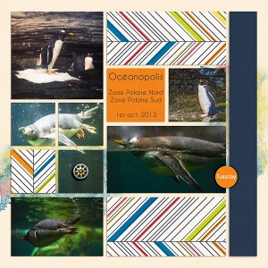 Chasing the Penguins 1