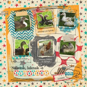 are there any animals at your place? :)