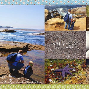 Point Lobos